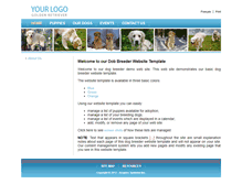 Tablet Screenshot of bluedog.acquirosystems.com